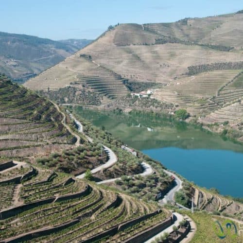 Duoro Valley Vineyards, Portugal