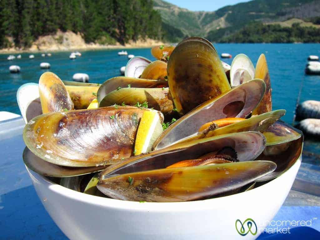 Green Lipped Mussels on the Seafood Odyssea - Marlborough, New Z