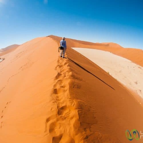 Namibia dune