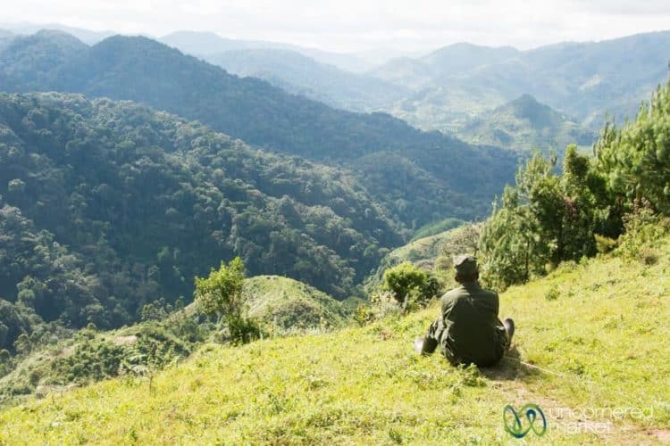 Our Gorilla Trekking Guide Waits for Information - Bwindi Nationonal Park, Uganda