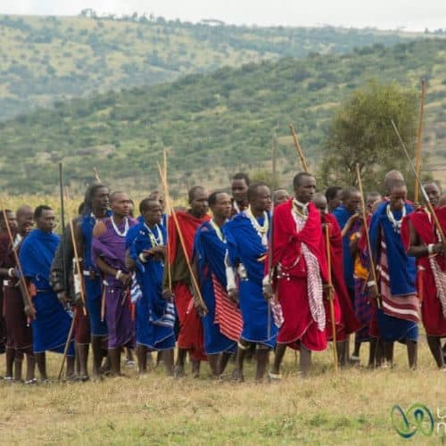 Maasai warriors