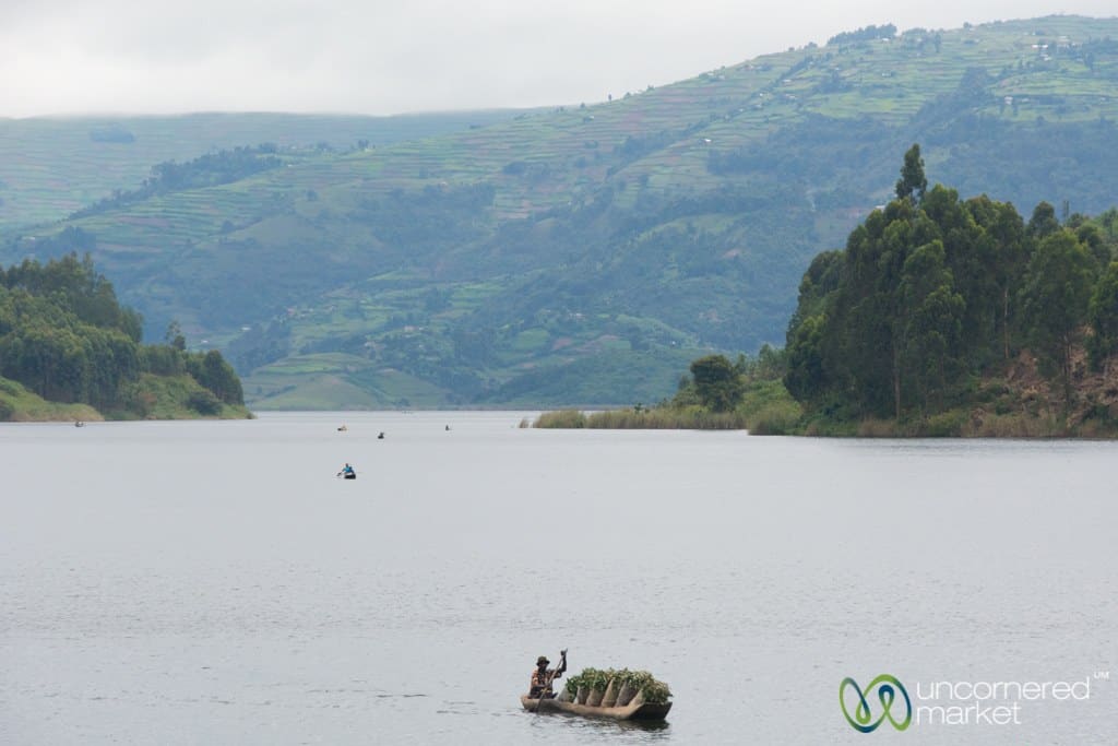 Boats Bringing Charcoal to Lake Bunyonyi Market - Uganda