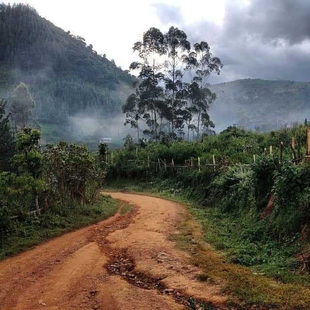 Uganda Road