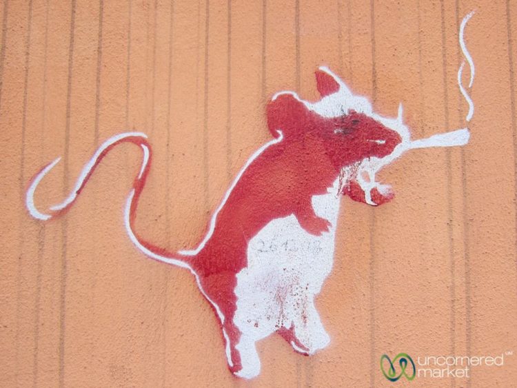 Smoking Rat - Street Art in Szczecin, Poland