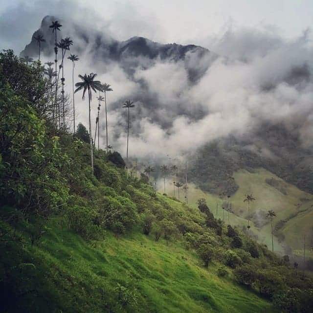 Cocora Valley, Colombia