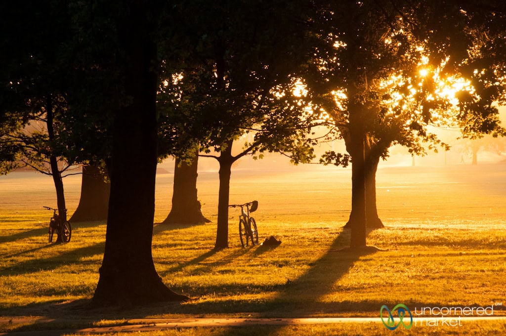 Sunset in the Park - Christchurch