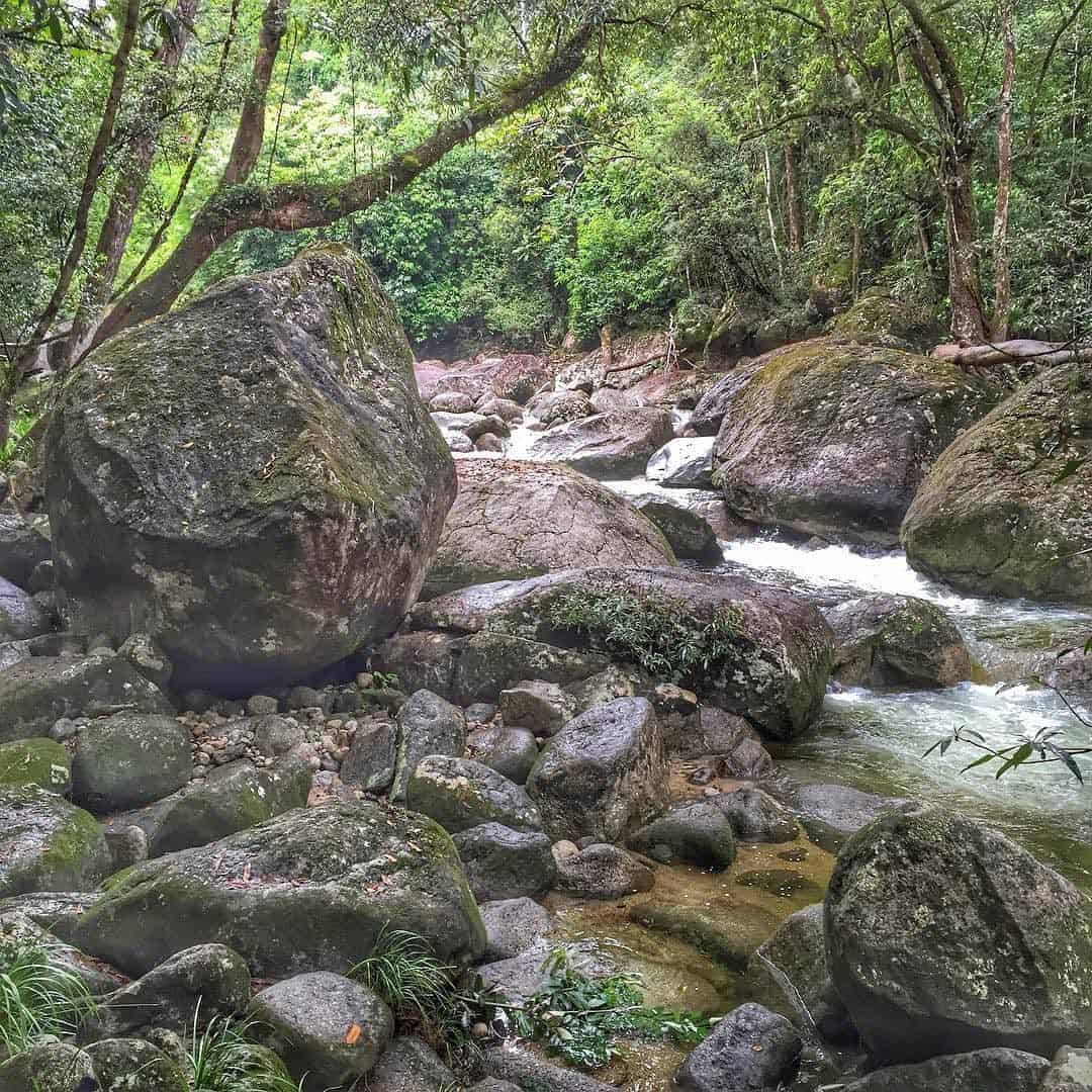 Australia Vacation, Daintree Rainforest Walk