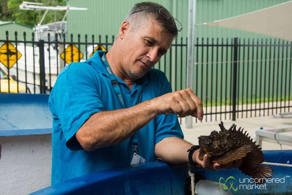 Australia Vacation, Venomous Animals