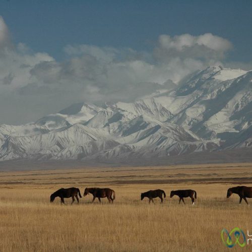 Alay Region Travel Guide