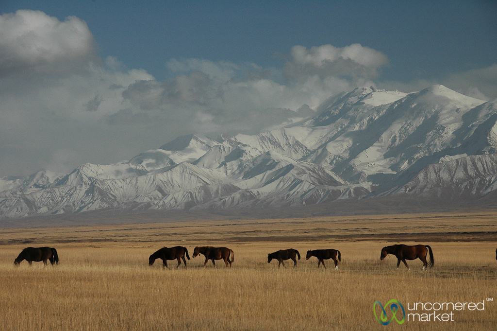 Central Asia Guide, Pamir Mountains