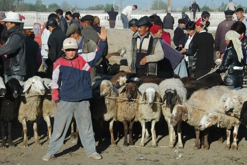 Karakol Sunday Animal Market