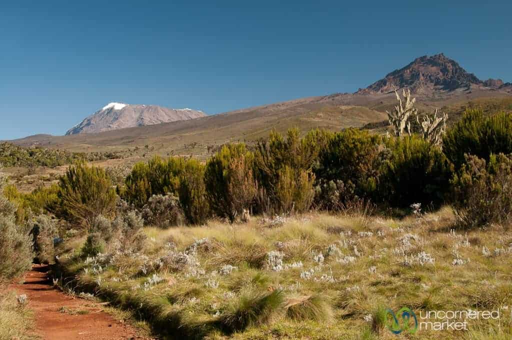 Climbing Kilimanjaro, Marangu Route Day 2