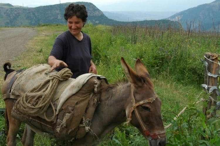 Armenian People