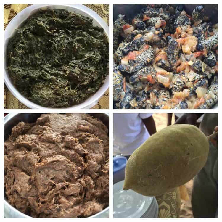 Chobe National Park, Botswana Local Food
