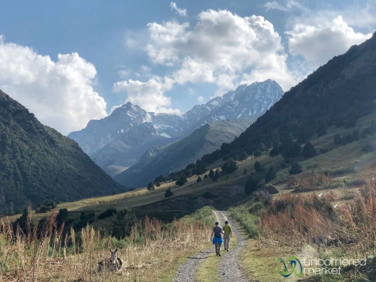 Alay Mountains Trekking Guide, Heights of Alay Trek