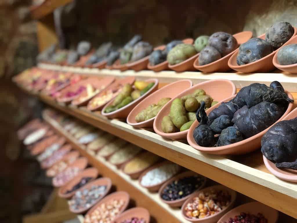 Social Enterprise in Peru, Parque de la Papa in the Sacred Valley