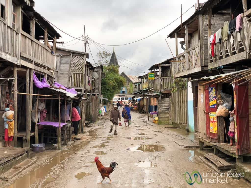 Madagascar Travel, Walk Through Andasibe