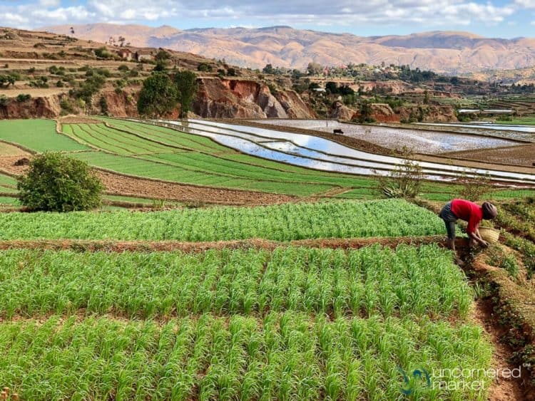 Madagascar Travel and Landscapes