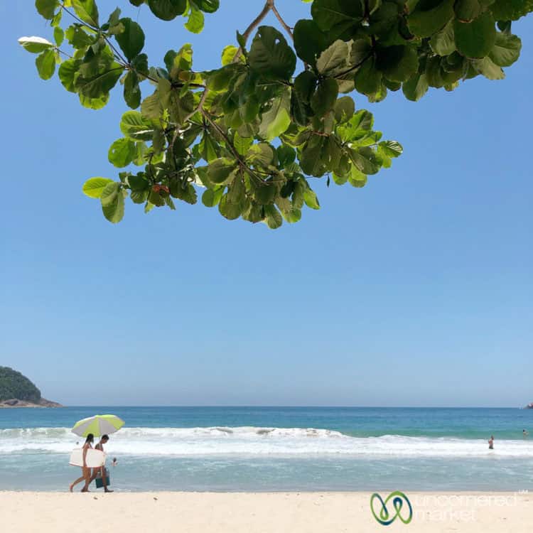 Brazil Tour, Beach Day Outside Paraty
