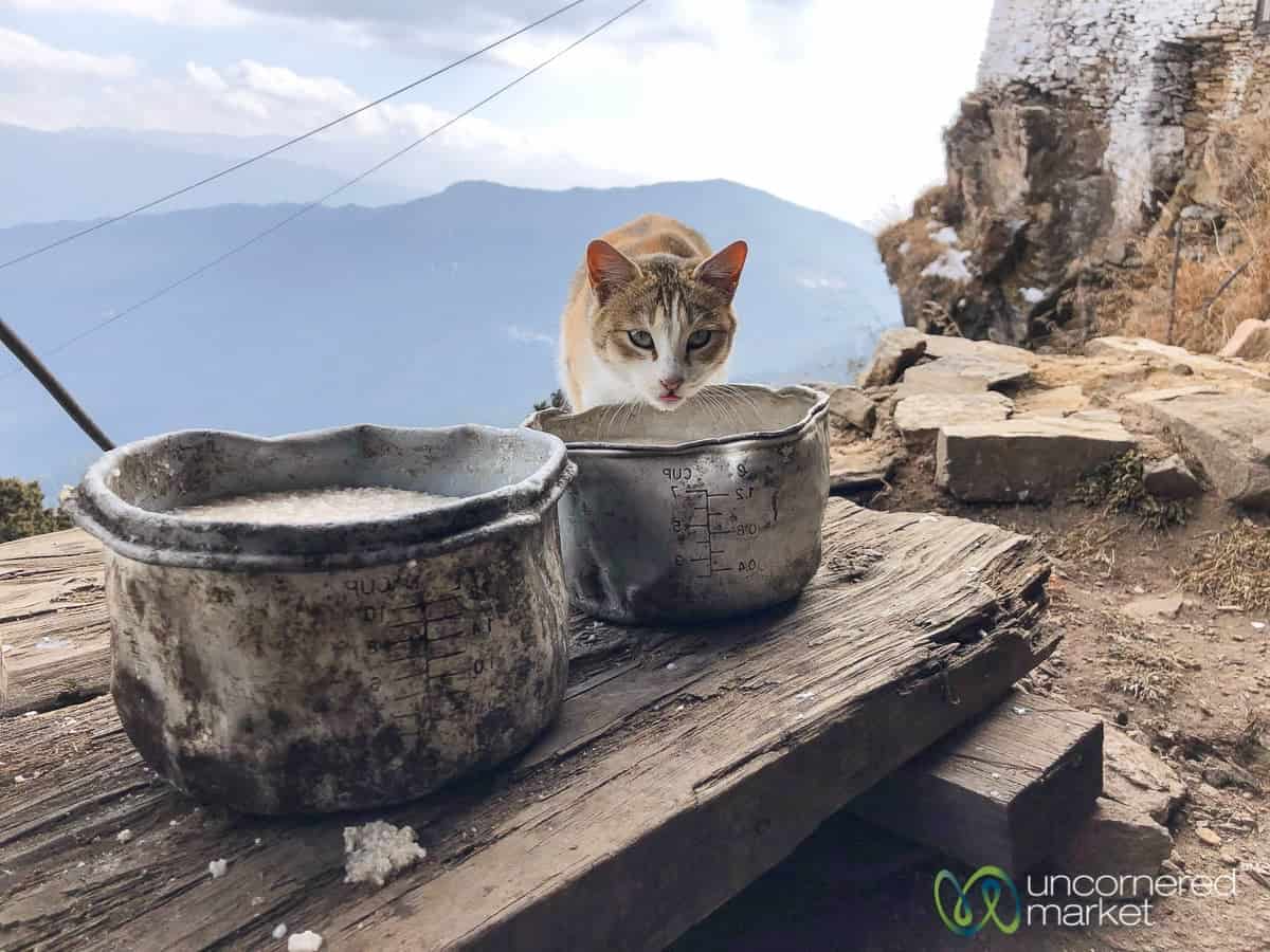 Bhutan Tour with G Adventures