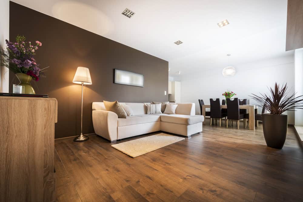 Luxurious,Living,Room,With,Kitchen,Area