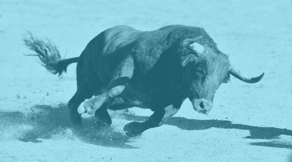 Charging bull with horns