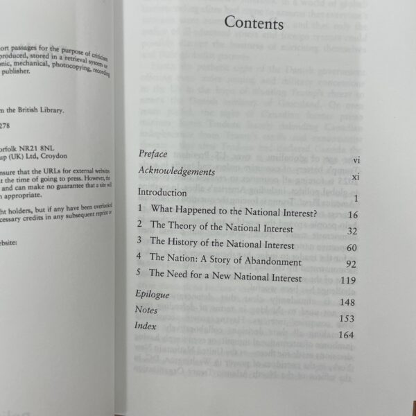The National Interest : Politics After Globalization by Philip Cunliffe - Image 4