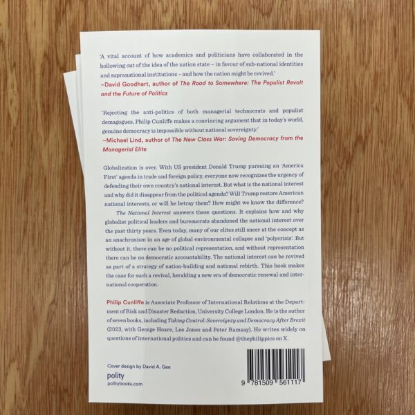 The National Interest : Politics After Globalization by Philip Cunliffe - Image 5