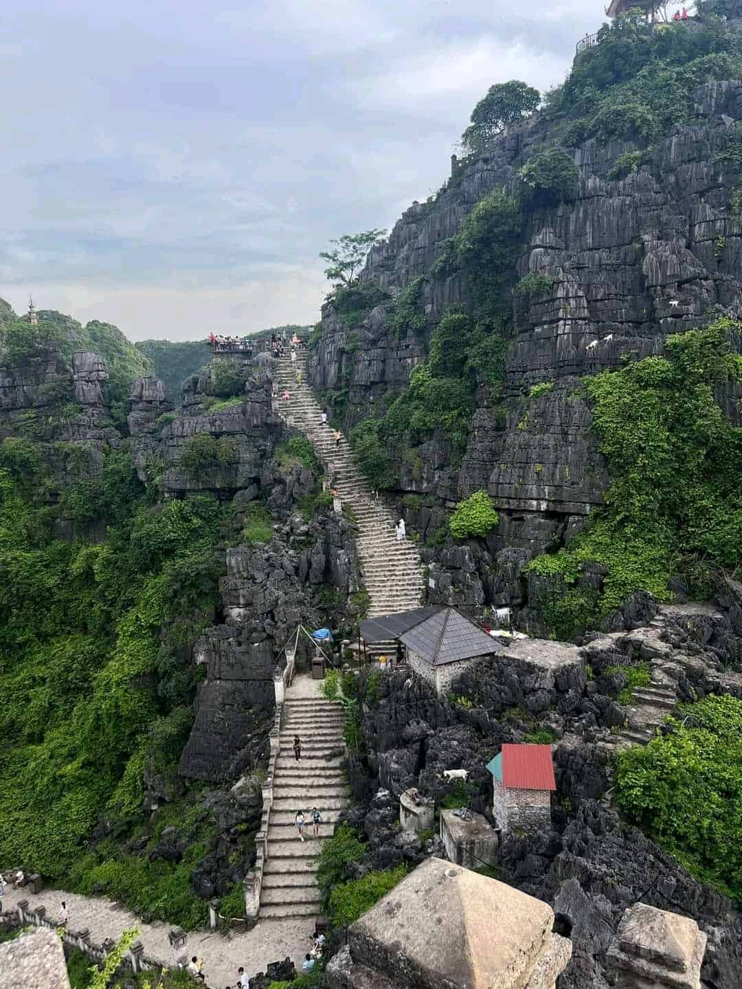 hang-mua-peak-stairway-viewpoint-ninh-binh-viettrendtour
