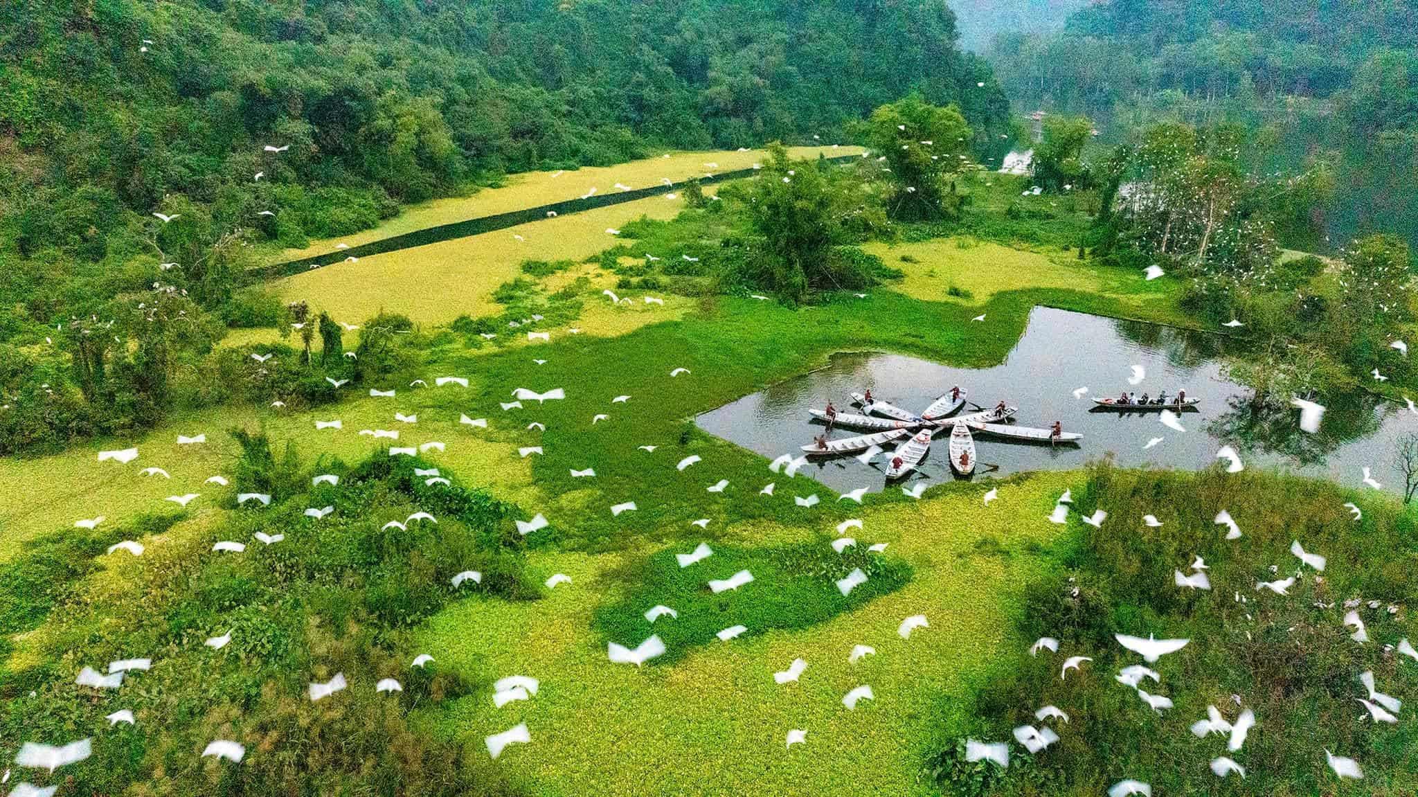 hang-mua-peak-view-river-valley-ninh-binh-viettrendtour