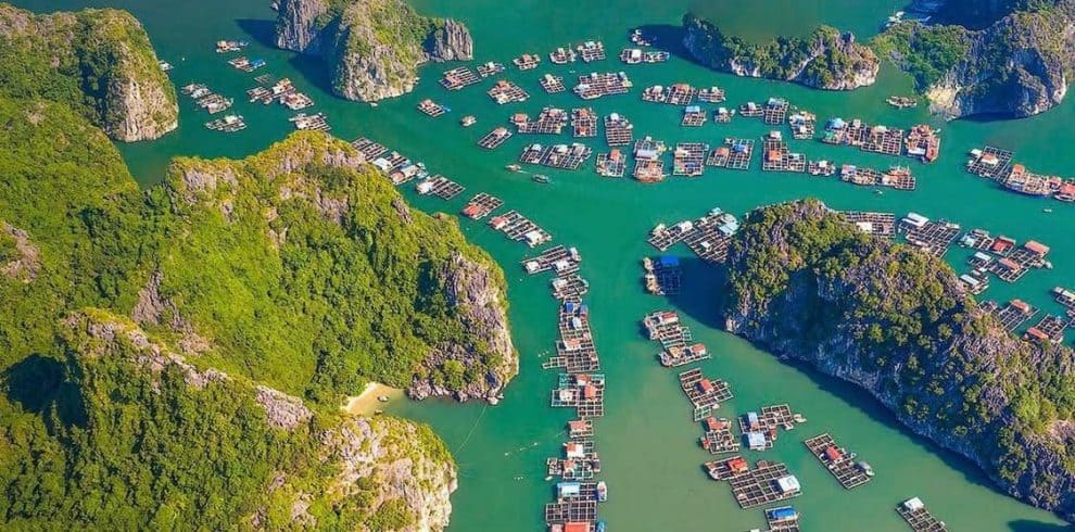 cat-ba-floating-villages-aerial-viettrendtour