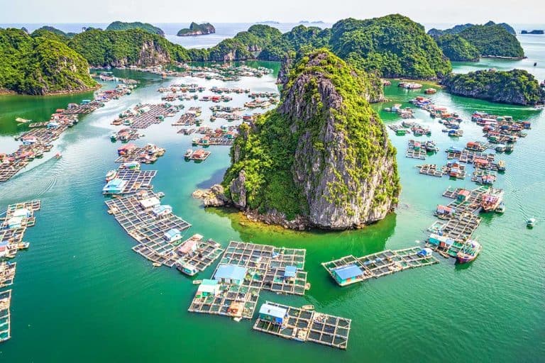 lan-ha-bay-aqua-paradise-viettrendtour
