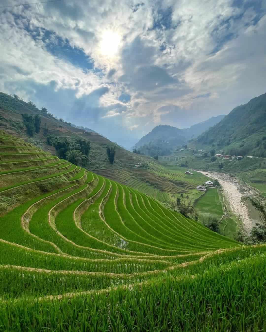 Vivid rice terraces in Sapa with lush green fields and mountain views, perfect for trekking and cult.