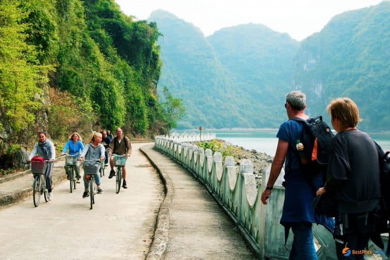 Pedal through quiet lanes and lush valleysยgentle adventure and local smiles on Cat Ba Island.