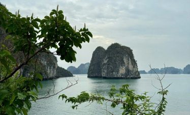 Limestone islands in Halong Bay, Vietnam with lush greenery and calm waters.