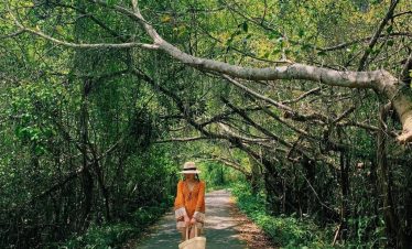 ViettrendTour, woman walking through lush green forest on a sunny day, travel and nature escape, scenic outdoor adventure.