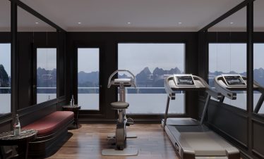 Modern gym room with treadmill and exercise bike overlooking mountain scenery.