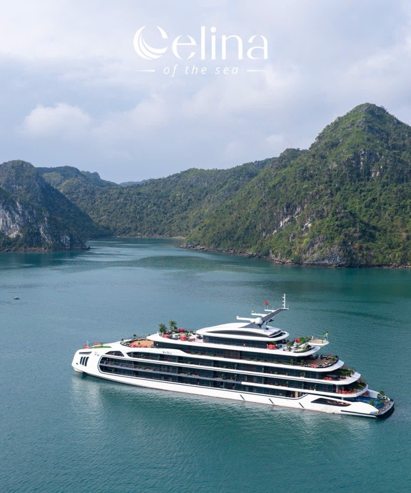 Large white luxury cruise ship in a calm turquoise bay with green, steep cliffs in the background. logo: Celina of the Sea at top center.