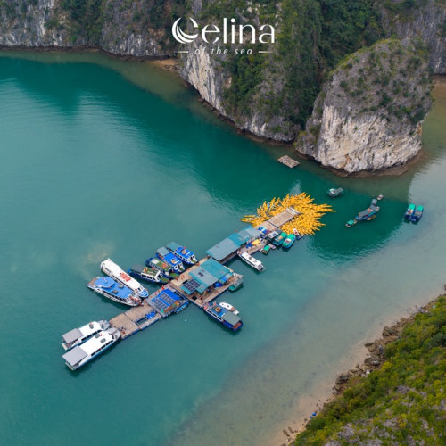 Aerial view of a turquoise bay with a long pier of boats and a circular cluster of yellow kayaks around a central platform near a rocky coastline.