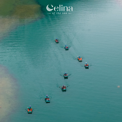 Aerial view of several small rowboats with people, forming a diagonal line on turquoise water near a rocky shoreline; Celina of the sea logo sits at the top center.
