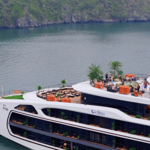 White multi-deck luxury cruise ship named Celina, with orange lifebuoys, palm trees, and guests on the top deck by the water.