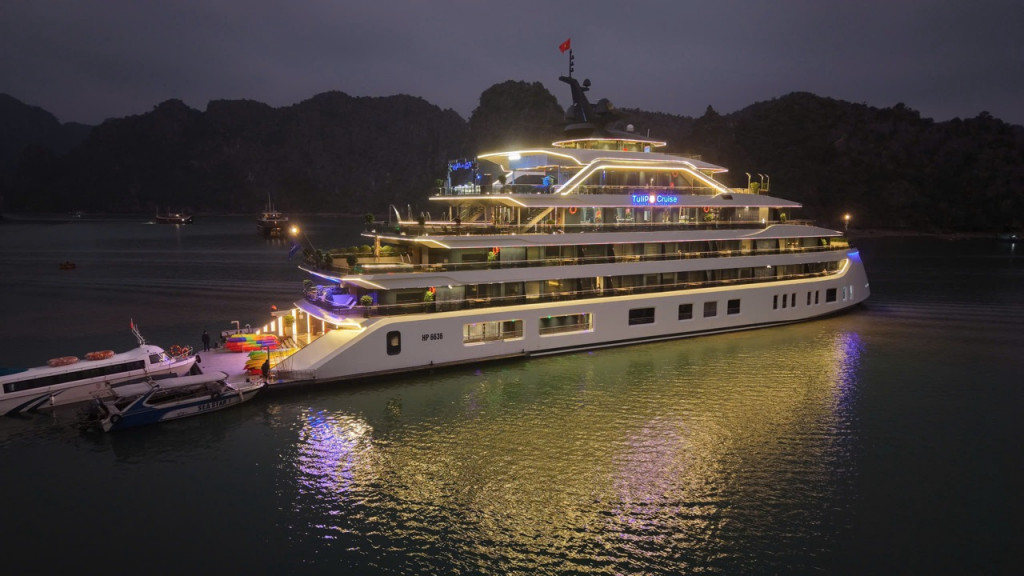 Night view of a large white luxury cruise ship docked, glowing neon lights reflecting on the water with smaller boats nearby and hills in the background (Tulip Cruise).