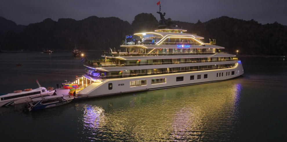 Night view of a large white luxury cruise ship docked, glowing neon lights reflecting on the water with smaller boats nearby and hills in the background (Tulip Cruise).