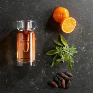 عطر بويز دي عنبر او دو تواليت من كارل لاغرفيلد