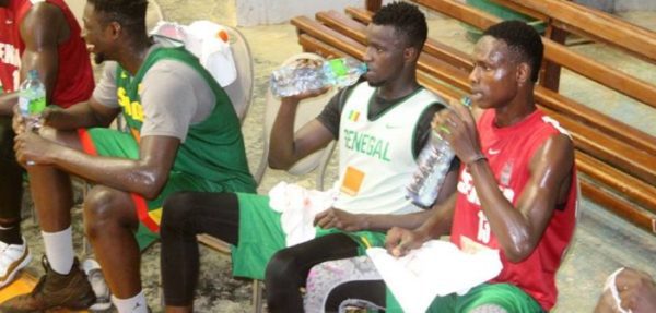 Abdourahmane Ndiaye, coach des Lions de basket : « Pape Moustapha Diop et Oumar Branco Badio sont audacieux et… » - wiwsport