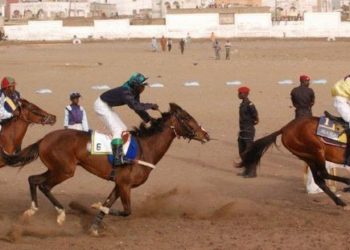 Courses Hippiques - Grand Prix Assemblée nationale : Rafet Njort, Le maire et Niody au coeur de la rivalité - wiwsport