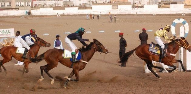 Courses Hippiques - Grand Prix Assemblée nationale : Rafet Njort, Le maire et Niody au coeur de la rivalité - wiwsport