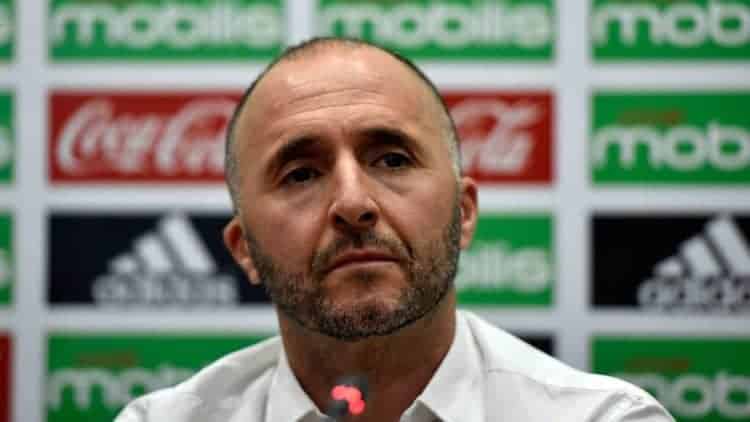 CAN 2019 - Djamel Belmadi (sélectionneur de l'Algérie) : " Le Sénégal est favori de notre groupe " - wiwsport