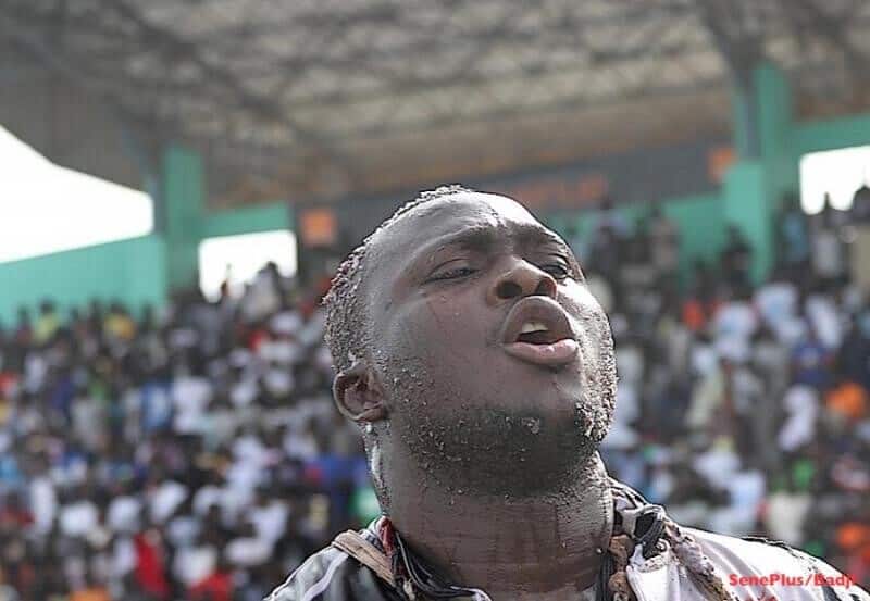 Lamb : Modou Lô aurait déposé son certificat de guérison ce jeudi et est prêt pour Ama Baldé - wiwsport