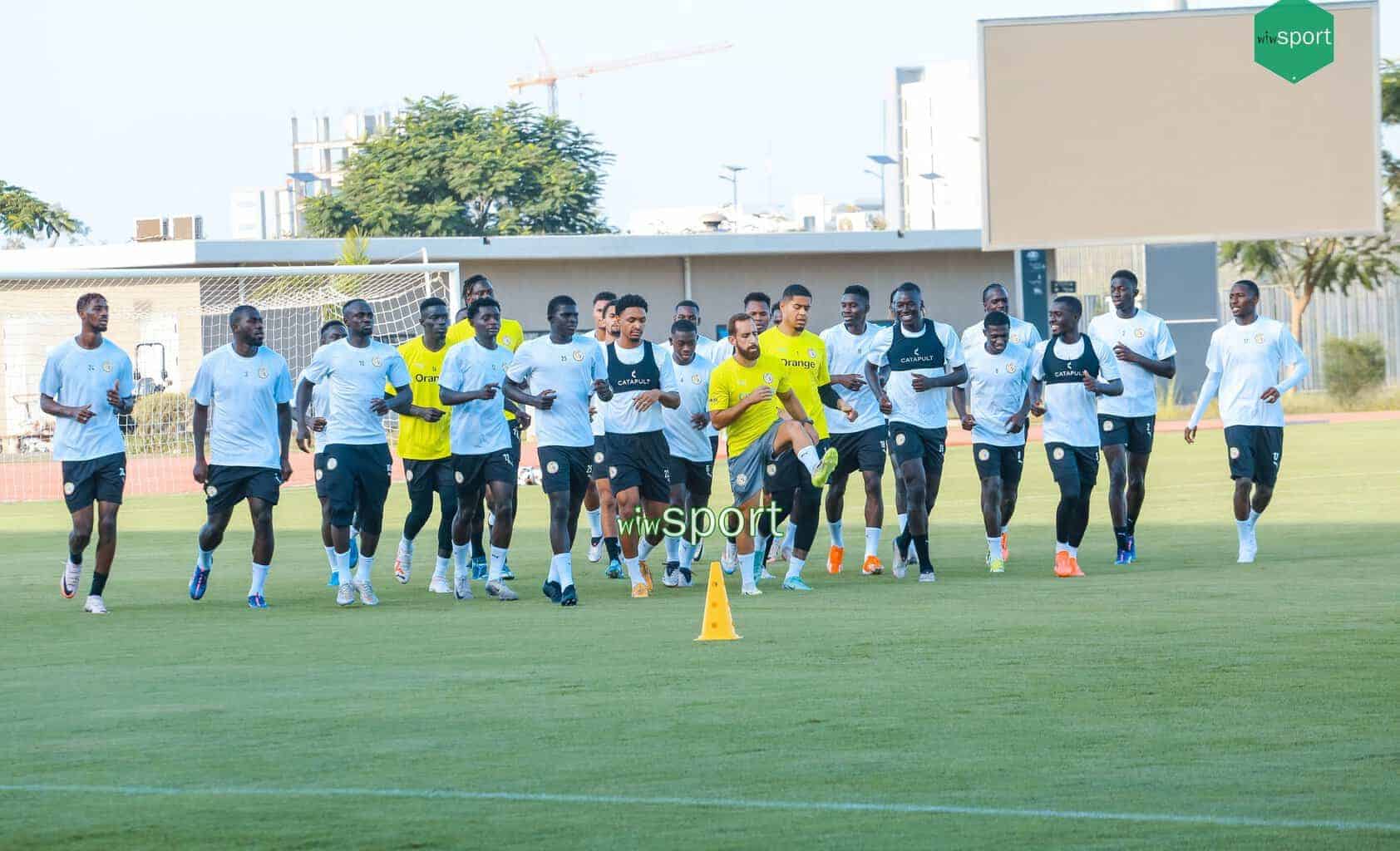 Equipe Nationale : Reprise en douceur pour des Lions (presque) au complet - wiwsport